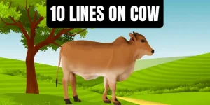 10 Lines on Cow