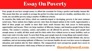 Essay On Poverty 2